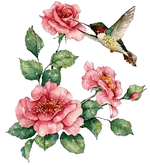http://sl.glitter-graphics.net/pub/190/190039d68erme670.gif