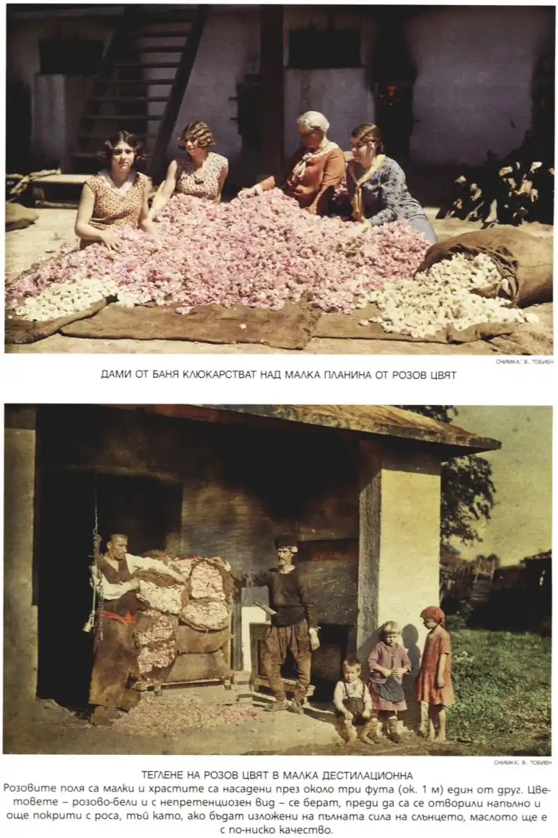 http://kroraina.com/bugarash/ng32/ng9.jpg