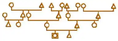 génosociogramme 2