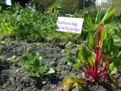 Седмица на хранителната независимост 17-22.04.12