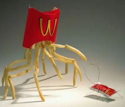 http://lh6.google.com/polirang/RsvgivzMRpI/AAAAAAAAAXs/g5IqR2OW8aw/25384637_1186613342_fries.jpg?imgmax=400