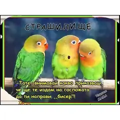 ПРОЕКТ ЗА РАЗВИТИЕ НА РЕЧТА "УЧЕНИЧЕСКИ БИСЕРИ"
