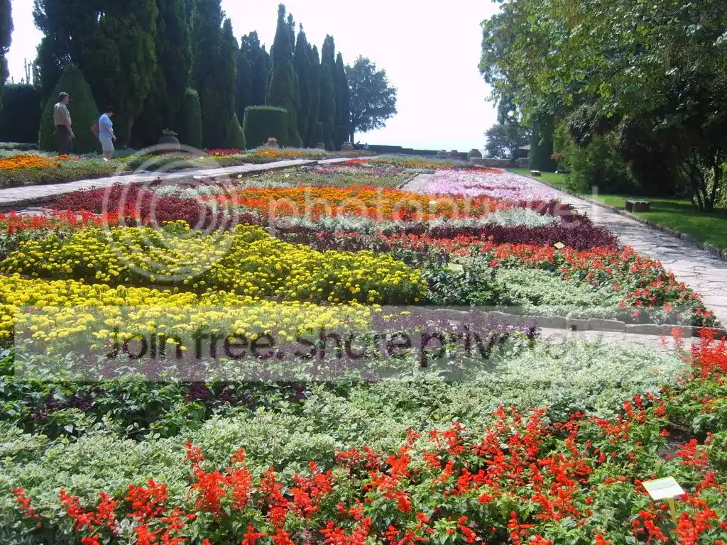http://i212.photobucket.com/albums/cc243/efina/S8002329.jpg
