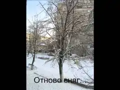 Конкурсът на СНО приключи
