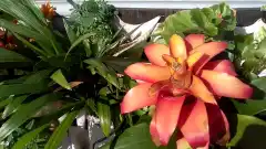 Новите ми цветни панели от Май през последното неделно утро!