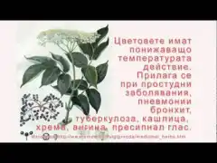 За билките