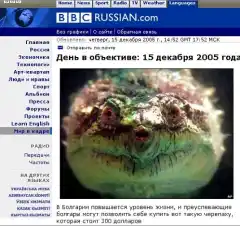 Изображение към свързаната публикация Ха сега де! в BgLOG.net