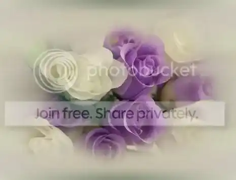 Flowers-2.jpg Flowers image by Ashuk1970