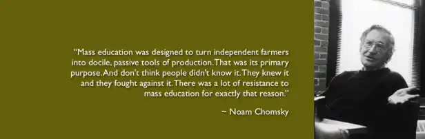 chomskypic
