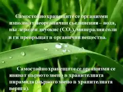 Изображение към свързаната публикация ЕКОСИСТЕМИ в BgLOG.net