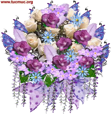 Beautiful flower images for friends