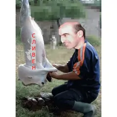 АРХИВИТЕ СА ЖИВИ- КАК СЕ КРАДЕ ОТ СЛИВЕН