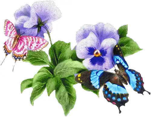 183.gif image by orkutei