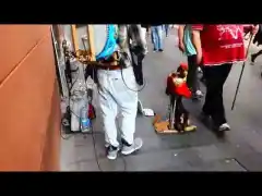 Музиканти и артисти на улицата