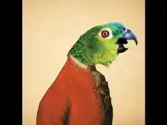 Животното у дома!