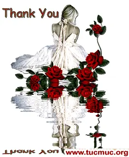 Thank You Comments Image - 2