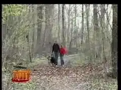 Джогинг ли? Никога! :)