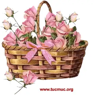 ros009.gif image by tucmuc