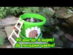 Изненада за Осми март по Учебната програма за 2 клас