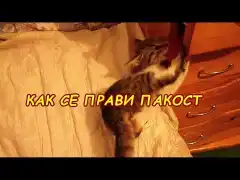 Изображение към свързаната публикация КАК СЕ ИЗВАЖДА СНИМКА ОТ ВИДЕО в BgLOG.net