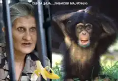 Со кротце, со благо, нимойте со кютек