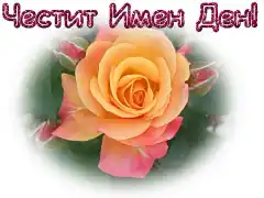 Изображение към свързаната публикация ЧЕСТИТ ИМЕН ДЕН, МARQ в BgLOG.net