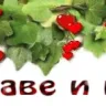 Профилна снимка на автора ReniDimitrova в BgLOG.net
