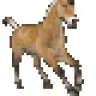 RositsaAtanasovaMin