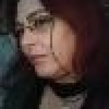 Профилна снимка на автора DianaIlieva в BgLOG.net