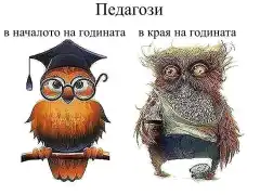 Една весела картинка обикаля Фейсбук :)