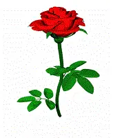 /sites/default/files/legacy-clientfiles/ClientFiles/d8b83c57-8627-4488-8f2f-4718347d8dbf/rosespin.gif