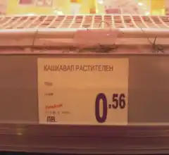 Къде расте кашкавалът?