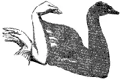 /sites/default/files/legacy-clientfiles/ClientFiles/d8b83c57-8627-4488-8f2f-4718347d8dbf/lebed.gif