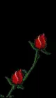 /sites/default/files/legacy-clientfiles/ClientFiles/d8b83c57-8627-4488-8f2f-4718347d8dbf/1_rose.gif