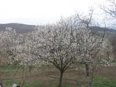 Пролетно настроение