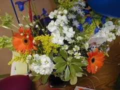 /sites/default/files/legacy-clientfiles/ClientFiles/6bdcfbd0-8b6d-4f8e-8137-5edb56e00f5d/flower012%5B1%5D.jpg