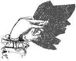 /sites/default/files/legacy-clientfiles/ClientFiles/d8b83c57-8627-4488-8f2f-4718347d8dbf/chovek4.gif