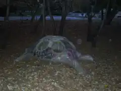 Костенурката от Сънчо