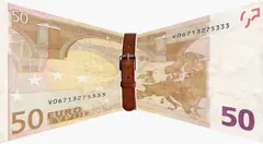Несъстоялият се дебат за еврото