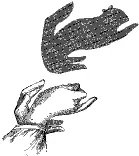 /sites/default/files/legacy-clientfiles/ClientFiles/d8b83c57-8627-4488-8f2f-4718347d8dbf/katerichka.gif