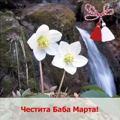 Изображение към свързаната публикация За здраве,живот и добрина! в BgLOG.net
