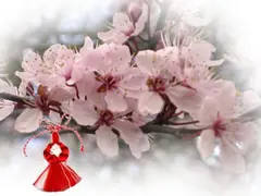 Покана