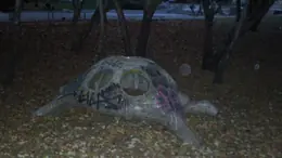 Костенурката от Сънчо